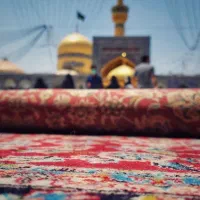 تورمشهد یاضامن اهو