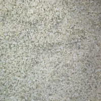 برنج نیم‌دانه چمپا