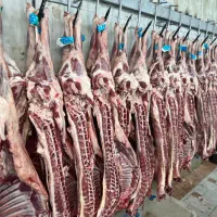 قصاب ماهر فروشنده ماهر مرغ و ماهی