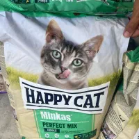 هپی کت هپی داگ|لوازم جانبی حیوانات|رشت, سعدی (تختی)|دیوار