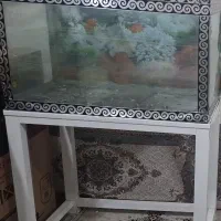 آکواریوم شیشه ای با تمام وسایل