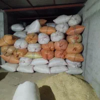 کاه گندم