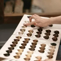 اموزش رنگ مو و لایت