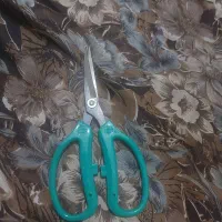 قیچی دورگیر