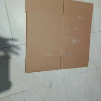 کارتن تخم مرغی‌درخدنو