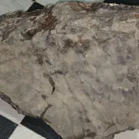 شهاب سنگ|کلکسیون اشیاء عتیقه|ساوه, |دیوار