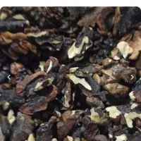 گردو فسنجونی