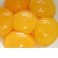سفیده تخم‌مرغ منجمد