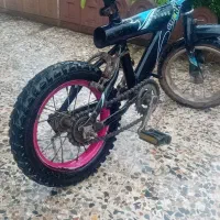 دوچرخه ۱۲ زیر قیمت بازار گذاشته شده