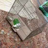 قفس پرنده