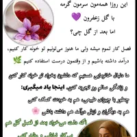 بانوان داوطلب تربت جامی