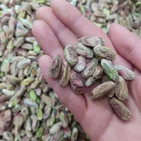 مغز پسته امسالی