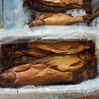 ماهی دودی بیگت