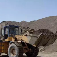 ماسه تنگل شور