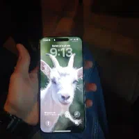 iphone 16promax 256|موبایل|تهران, نارمک|دیوار