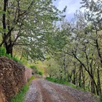 ویلا/ ۲۰۰ متر/ ۳ خواب/ امامه بالا  AMLAK.ARIYANA