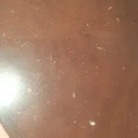 میز ناهارخوری وصندلی|میز و صندلی غذاخوری|تهران, شهرک گلها|دیوار