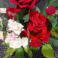 گل مصنوعی|گل مصنوعی|خوی, |دیوار