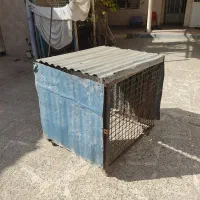 قفس گتوند|لوازم جانبی حیوانات|گتوند, |دیوار