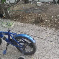 دوچرخه سایز ۱۶|دوچرخه، اسکیت، اسکوتر|ماهدشت, |دیوار