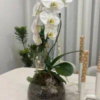 گلدان ارکیده سفید
