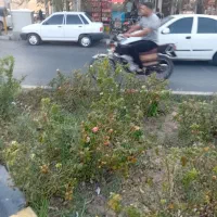 فروش مغازه ۳۰ متری در مهدیه
