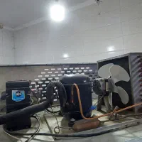 یخچال ۴درب|فروشگاه و مغازه|دورود, |دیوار