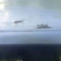 پژوروآ سال|خودرو سواری و وانت|تهران, آسمان|دیوار