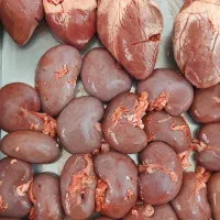 جگر گوسفندی|خوردنی و آشامیدنی|تهران, بهداشت|دیوار