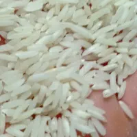 برنج هاشمی|خوردنی و آشامیدنی|رشت, کوی مهر|دیوار