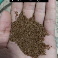 غذا و دارو و ویتامین عمده برای ماهیان|ماهی|کرمانشاه, |دیوار