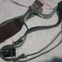 هیکلی قربانی