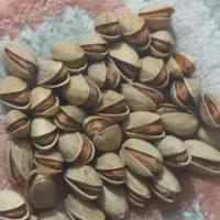 پسته ارگانیک دست چین