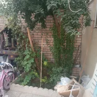 منزل ویلایی باهنر|فروش خانه و ویلا|اصفهان, آهنگران|دیوار