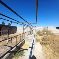 پرورش اسب و گوسفند و گاوداری|اجارهٔ دفتر صنعتی، کشاورزی، تجاری|مراغه, |دیوار