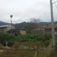 ۲۰۰متر زمین با پروانه ساخت ویو دار|فروش زمین و ملک کلنگی|املش, |دیوار