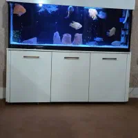 آکواریوم بزرگ و شیک|ماهی|زنجان, |دیوار