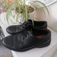 کفش چرم اصلی