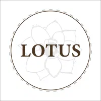 طراحی لوگو خلاقانه  متخصص طراحی UI/UX و وب‌سایت