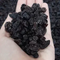 کشمش|خوردنی و آشامیدنی|ایوان, |دیوار