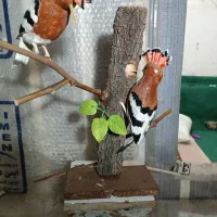 دکوریهای چوبی لوکس