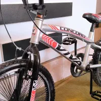 دوچرخه حرفه ای