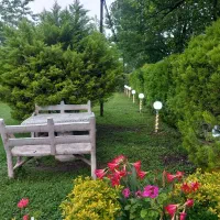 ویلا دردل جنگل|اجارهٔ کوتاه‌مدت ویلا و باغ|ماسال, |دیوار