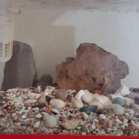 آکواریوم|ماهی|نسیم‌شهر, |دیوار