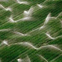 نصب و جوشکاری لوله های پلی اتیلن بارانی ابرسانی|خدمات باغبانی و درختکاری|نهاوند, |دیوار