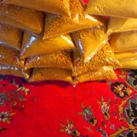 کشک زرد زابلی و آچار