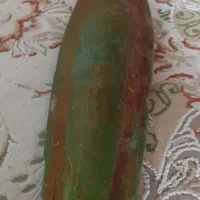 آردنخل تازه آماده لقاح