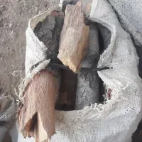 چند گونی هیمه دار بلوط فروشی هست درجه یک