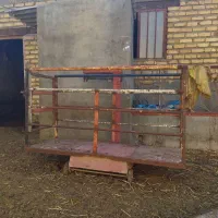 باسکول قاپان برای کشیدن گاو گوسفند ظرفیت ۵۰۰کیلو