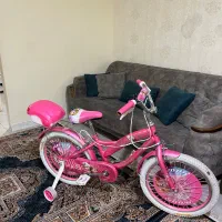 دوچرخه سایز ۲۰ دخترانه|دوچرخه، اسکیت، اسکوتر|کرج, بنیاد|دیوار